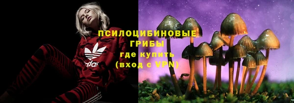 Альфа ПВП Алексеевка