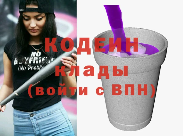 мдпв Гусев