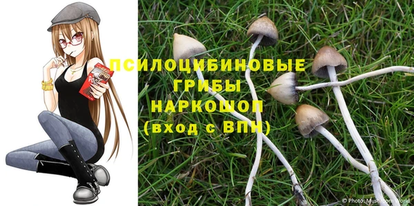 Альфа ПВП Алексин