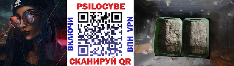 Галлюциногенные грибы мухоморы Рубцовск