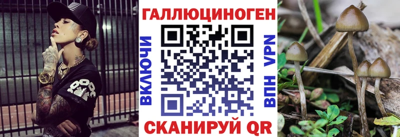 купить наркоту  Рубцовск  Галлюциногенные грибы Psilocybe 